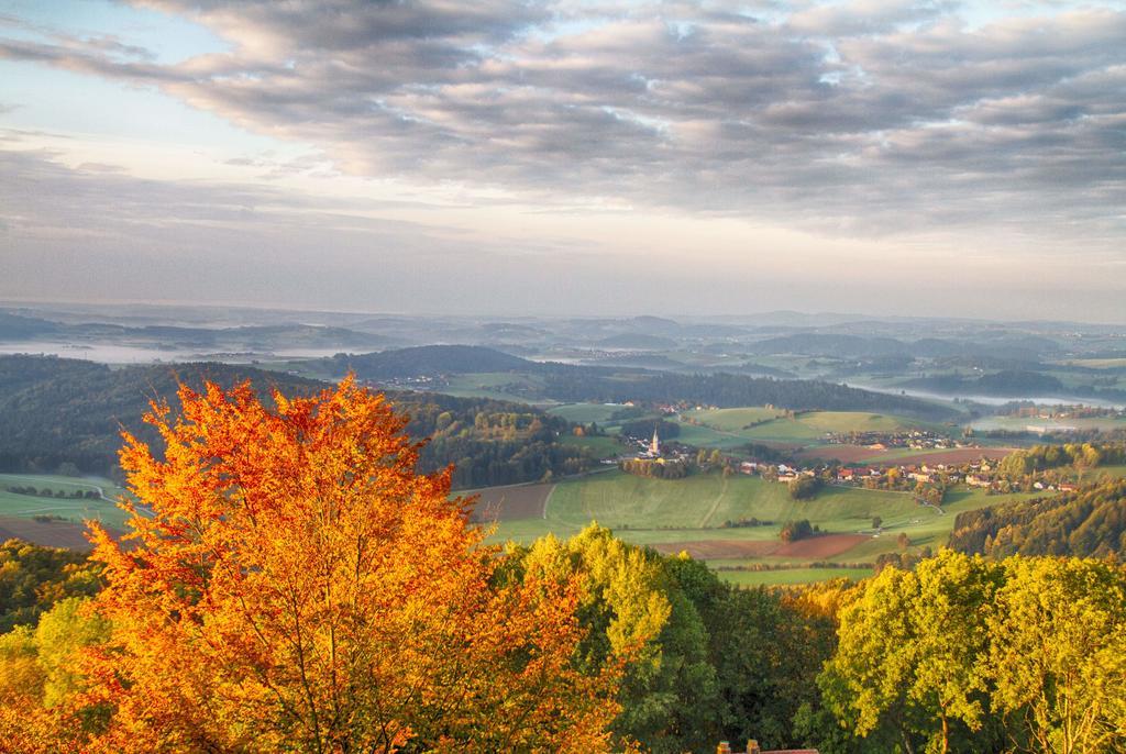 Ferienwohnungen-Bendler Freyung Szoba fotó